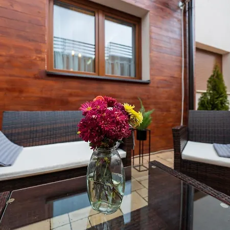 Mons In Katalina Zlatibor